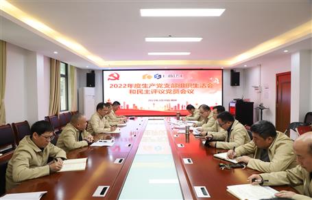 廖立波、唐峰、何勇以普通黨員身份參加所在黨支部2022年度組織生活會(huì)